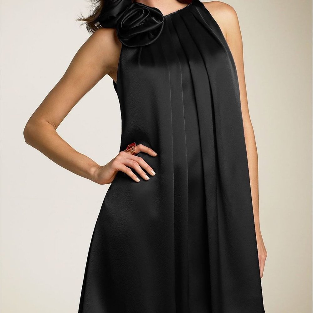 ABS BY ALLEN SCHWARTZ | Charmeuse Dress (4)